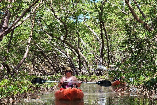 Kayak and SUP Rentals - Big Hickory Island - Fort Myers Beach, FL - Equipment and Accessibility