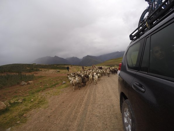 Kayak & Bike Tour: Overnight in Sacred Valley Including Machu Picchu From Cusco - Biking and Kayaking Excursions