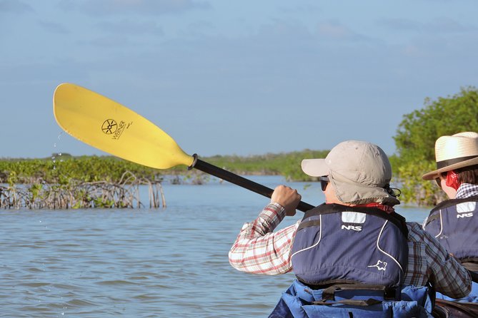 Kayak Biosphere Reserve Sunset Tour - Professional Guiding and Educational Insights