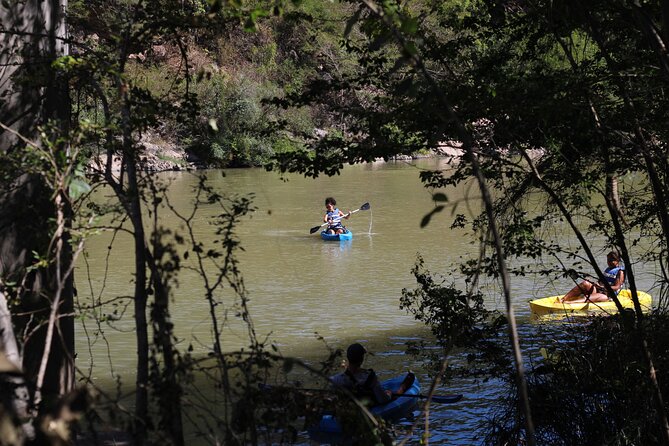 Kayak by the River - Wildlife Sightings
