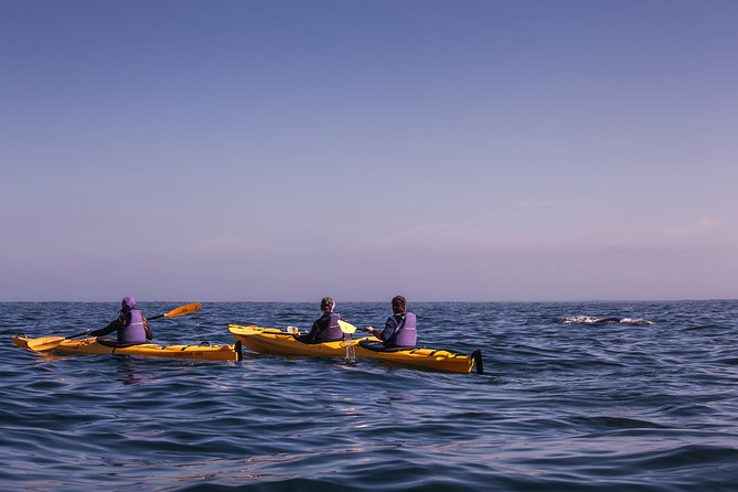 Kayak Chapmans Peak and Karbonkelberg in Hout Bay - Exploring Chapmans Peak and Karbonkelberg