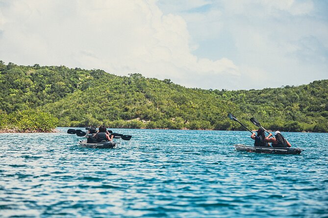 Kayak Eco Adventures Glass Kayak Nature and Snorkeling Tour - Meeting and Departure Details