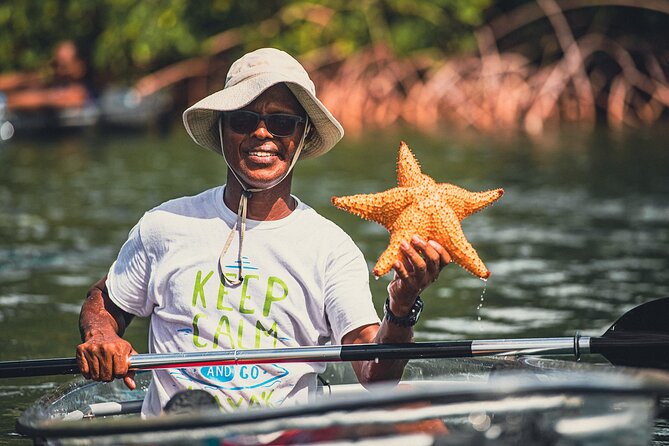 Kayak Eco Adventures Glass Kayak Nature and Snorkeling Tour - Pricing and Cancellation Policy