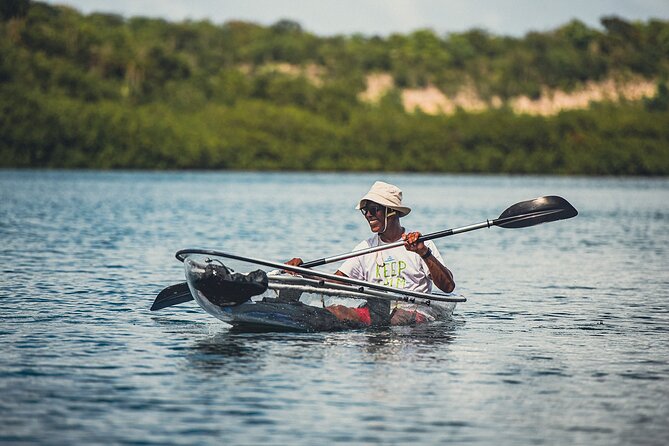 Kayak Eco Adventures Glass Kayak Nature and Snorkeling Tour - Customer Reviews and Testimonials
