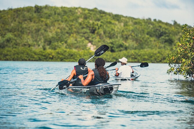 Kayak Eco Adventures Glass Kayak Nature and Snorkeling Tour - Exploring the Mangroves and Snorkeling