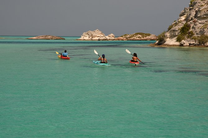 Kayak Eco Tour - Included Amenities