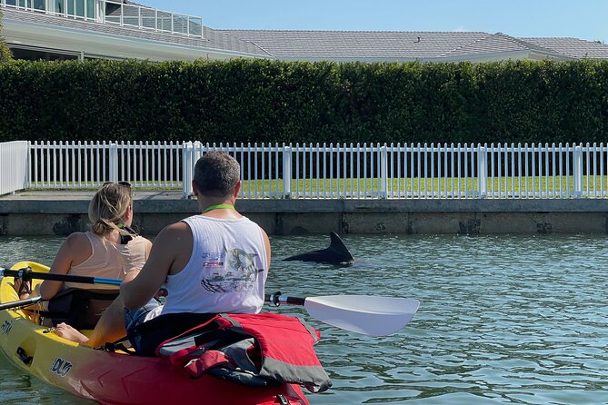Kayak Eco Tour in Don Pedro Island - Activity Details and Restrictions
