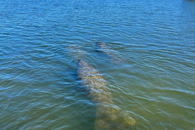 Kayak Eco Tour in Don Pedro Island - Exploring Don Pedro Island
