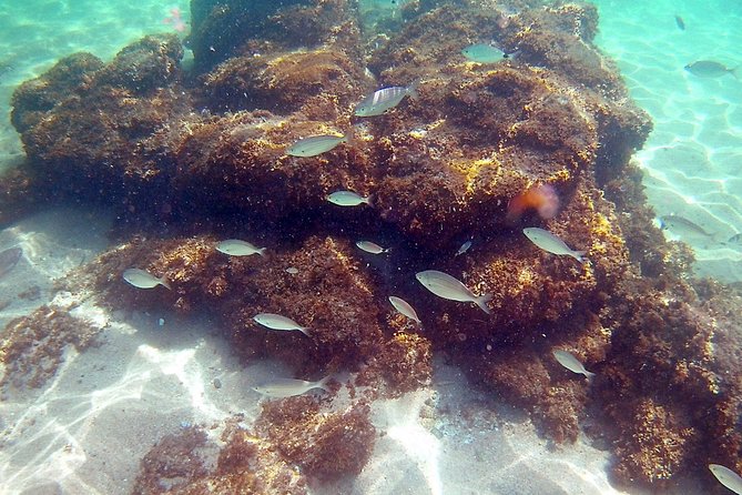 Kayak Excursion in Playa De Aro - Snorkeling and Underwater Exploration