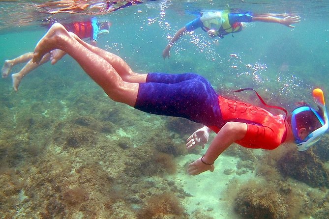 Kayak Excursion in Playa De Aro - Activity for Active Travelers