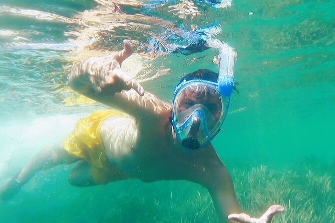 Kayak Excursion to Cova Dels Coloms From Platja Mascarat - Excursion Itinerary