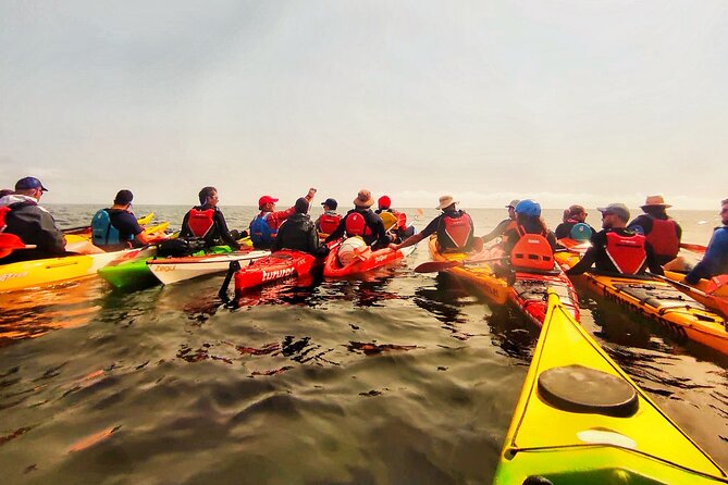 Kayak Excursion to Cova Dels Coloms From Platja Mascarat - Included Amenities