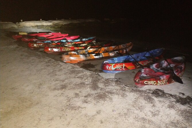 Kayak Experience and Swiming With the Bioluminescence in Holbox - Customer Reviews and Highlights