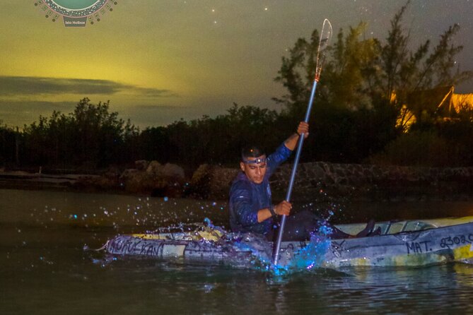 Kayak Experience and Swiming With the Bioluminescence in Holbox - Special Offers and Reservations