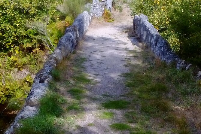 Kayak Experience & Gerês Tour, From Porto - Health and Safety Considerations