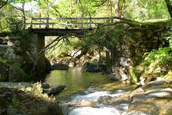 Kayak Experience & Gerês Tour, From Porto - 4x4 Exploration