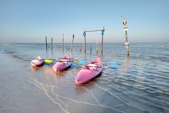 Kayak Experience in the Mangroves of Holbox Island - Reviews and Feedback