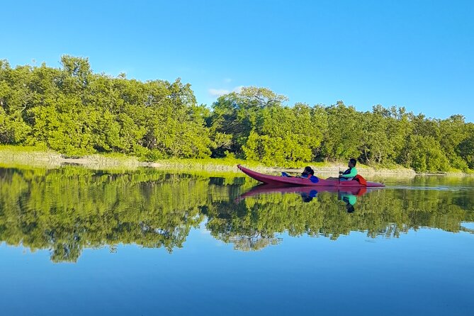 Kayak Experience in the Mangroves of Holbox Island - Quiet Exploration