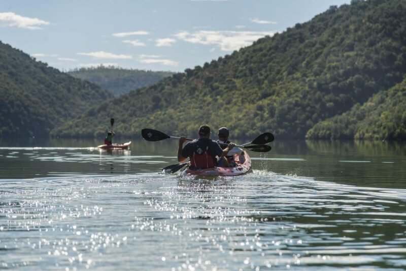 KAYAK Experience Review: Nature Meets Adventure - Pricing and Availability