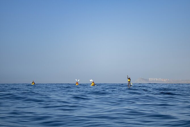 Kayak From Viudas Beach to Chileno Bay & Snorkel + Beach Time - Health Restrictions