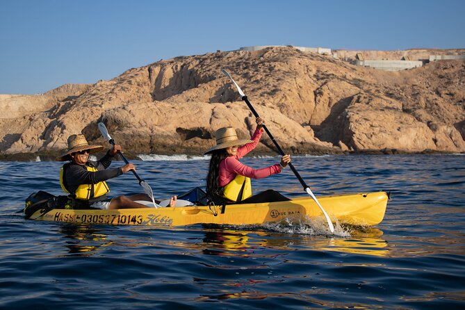Kayak From Viudas Beach to Chileno Bay & Snorkel + Beach Time - Booking Details