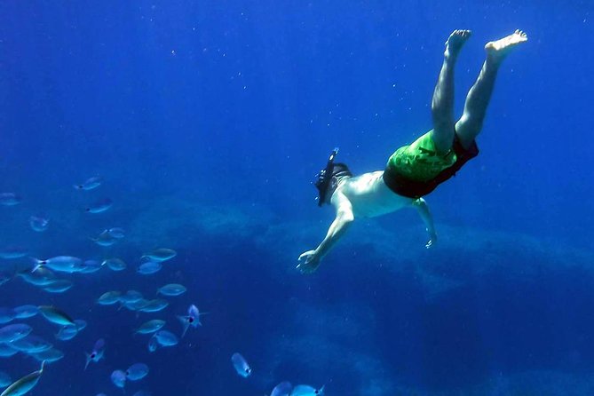Kayak Gozo and Comino Awesome Afternoon Adventure - Tour Activities and Experiences