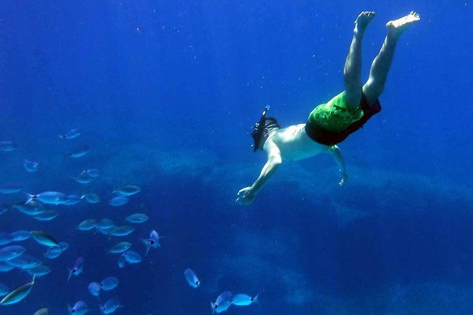 Kayak Gozo and Comino Full Day Chillin Adventure - Overview