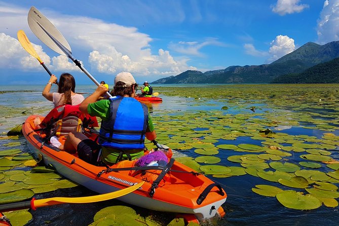 Kayak Guided Tour Skadar Lake - Adventure in National Park - Quick Points