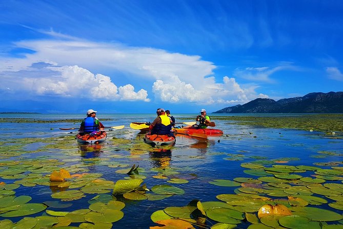 Kayak Guided Tour Skadar Lake - Adventure in National Park - Discovering Lesendro Fort