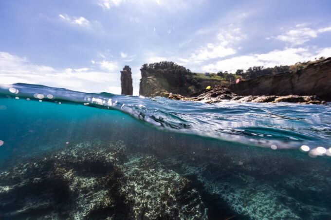 Kayak Guided Tour: Vila Franca Do Campo Islet - Recap
