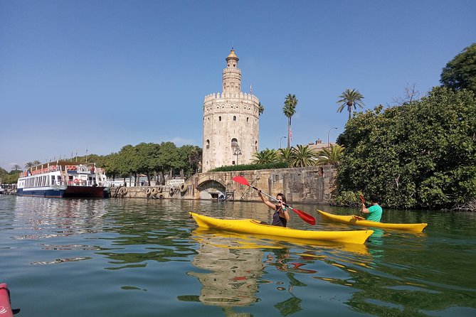 Kayak Guided Tours - Tour Details