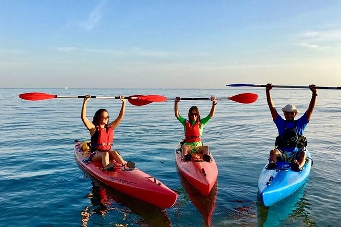 Kayak In Dubai Jumeirah Beach - With Free Transfer - Pricing and Booking Options
