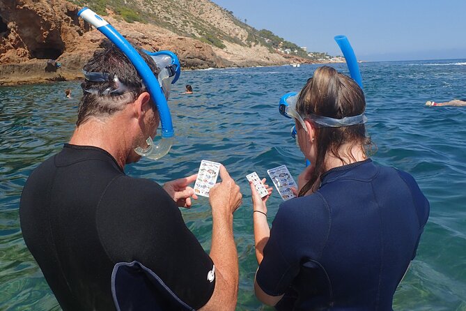 Kayak Javea - Visit the Cova Tallada by Kayak - Inclusions and Equipment