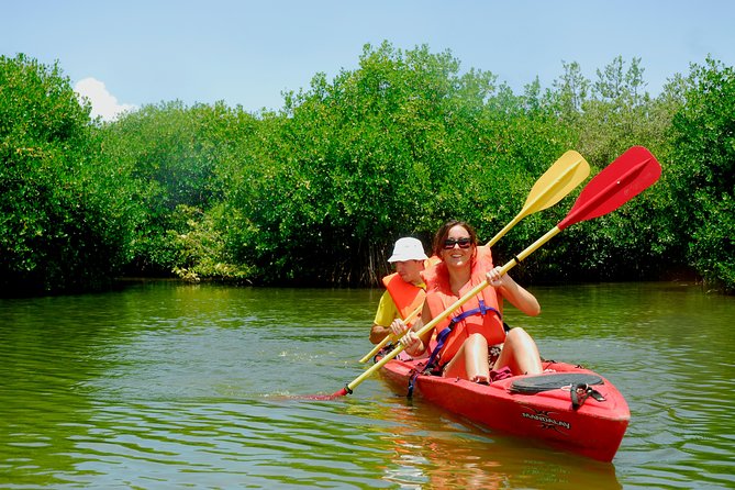 Kayak Lagoon Tour - Customer Experiences