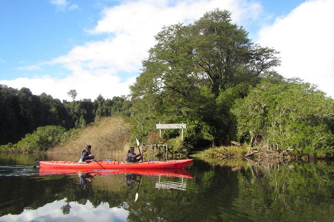 Kayak Laguna La Poza 1/2 Day - Inclusions
