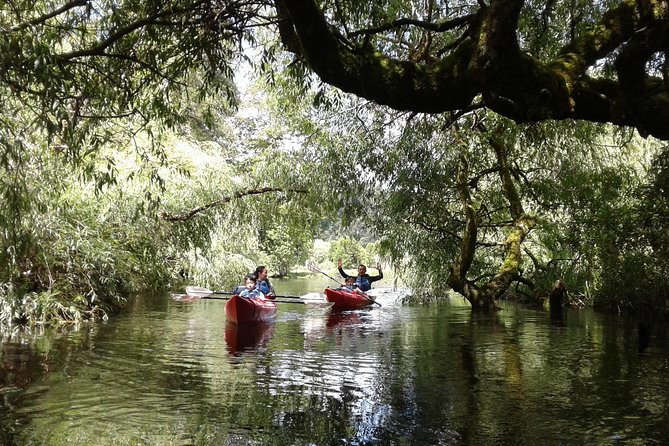 Kayak Laguna La Poza 1/2 Day - Reviews and Ratings