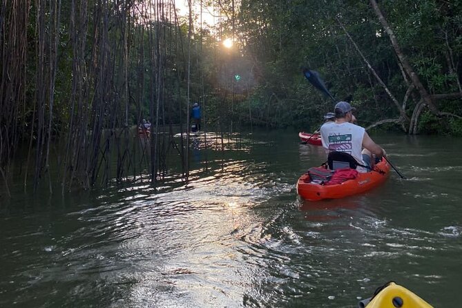 Kayak Mangrove Tour in Manuel Antonio - Meeting Point and Pickup