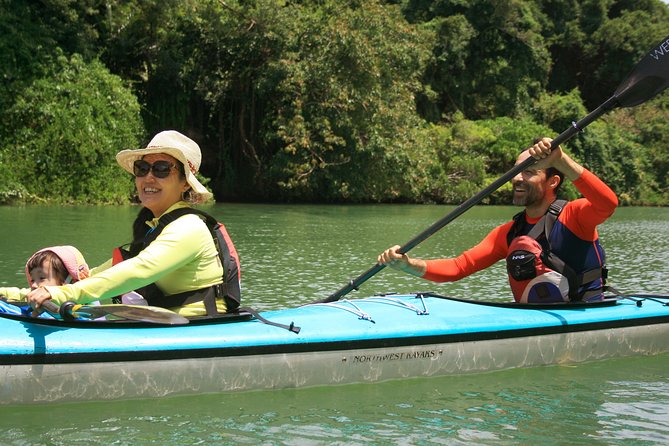 Kayak Mangroves or Coral Reef: Private Tour in North Okinawa - Meeting and Pickup