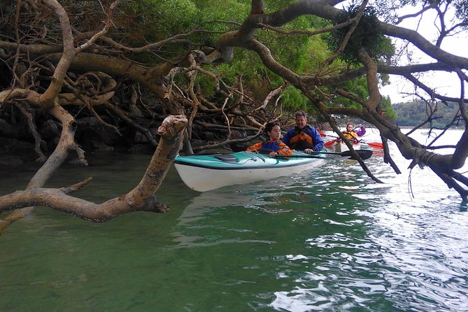 Kayak Mangroves or Coral Reef: Private Tour in North Okinawa - Confirmation and Recommendations