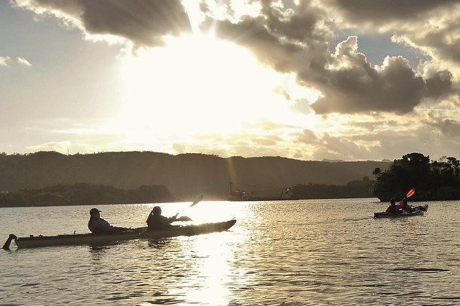 Kayak Mangroves or Coral Reef: Private Tour in North Okinawa - Weather and Clothing