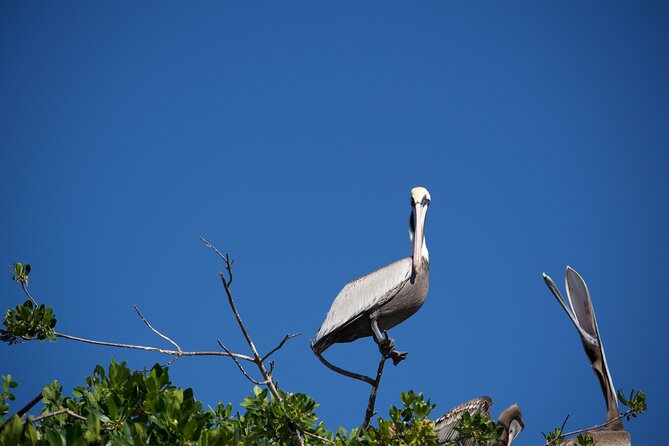 Kayak Merida - Exploring Meridas Waterways