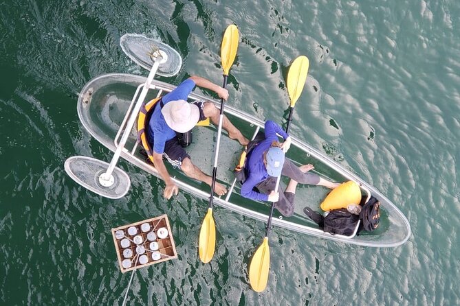 Kayak or Stand Up Paddle in Shkodra Lake and Buna River - Inclusions and Beverages