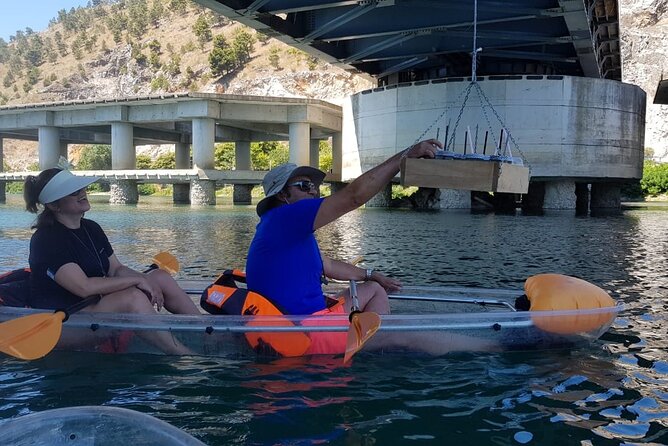 Kayak or Stand Up Paddle in Shkodra Lake and Buna River - Health and Safety Considerations