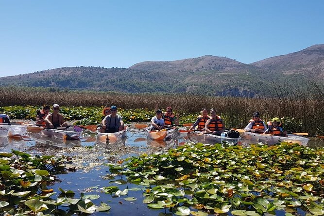 Kayak or Stand Up Paddle in Shkodra Lake and Buna River - What to Expect