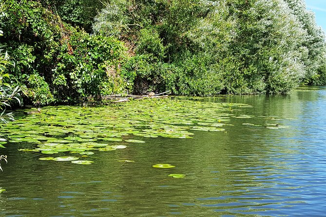 Kayak or SUP Tour on the Water Through Saarbrücken - Transportation and Nearby Landmarks