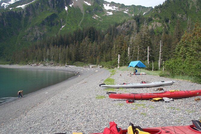 Kayak Paddle on Resurrection Bay - Participant Requirements