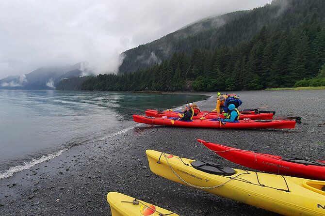 Kayak Paddle on Resurrection Bay - Pickup and Meeting Point