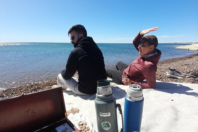 Kayak Paddling Experience With Sea Lions in Puerto Madryn - Positive Guest Reviews