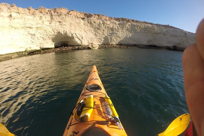 Kayak Paddling Experience With Sea Lions in Puerto Madryn - Spotting Nesting Seabirds