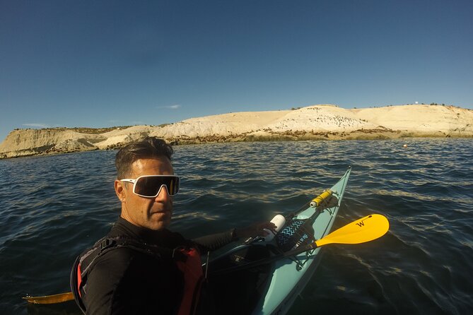Kayak Paddling Experience With Sea Lions in Puerto Madryn - Highlights of the Tour